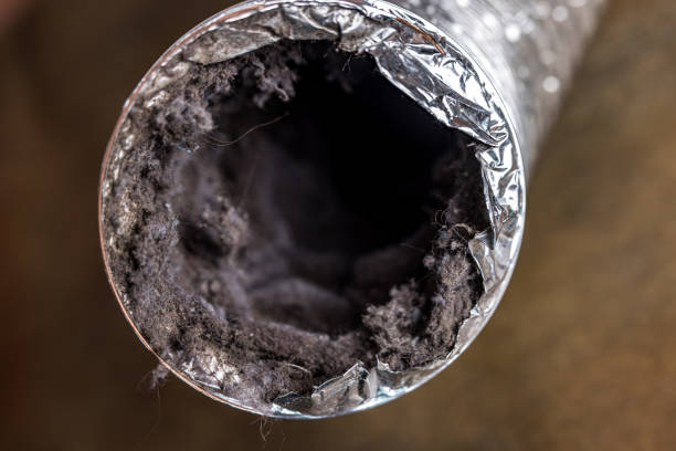 Best Professional Duct Cleaning Services  in Beach City, TX